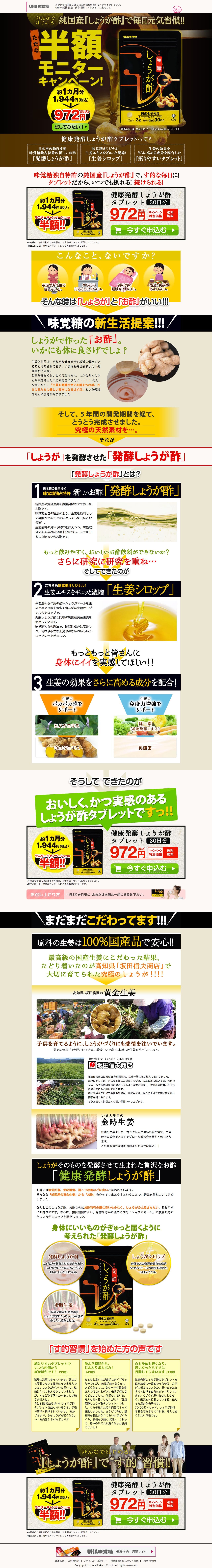 健康発酵しょうが酢タブレットのスクリーンショット（PC）