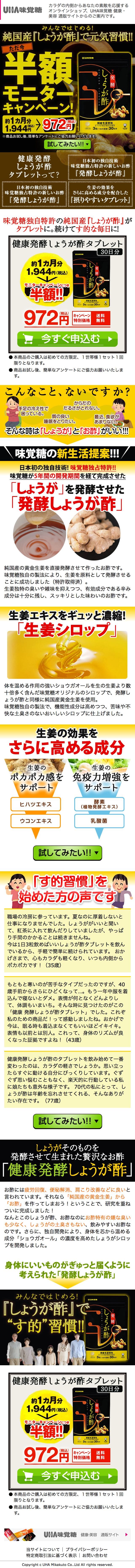 健康発酵しょうが酢タブレットのスクリーンショット（SP）