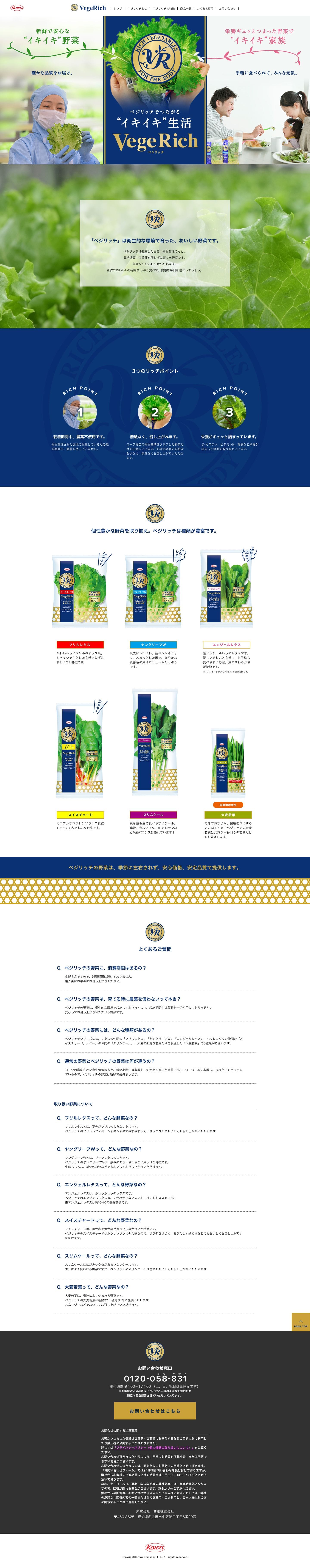 ベジリッチのスクリーンショット（PC）