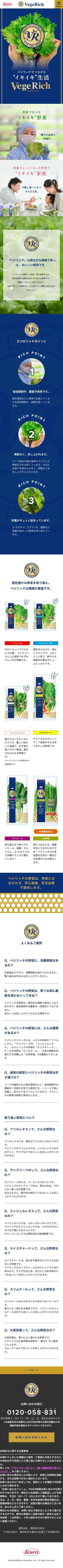 ベジリッチのスクリーンショット（SP）