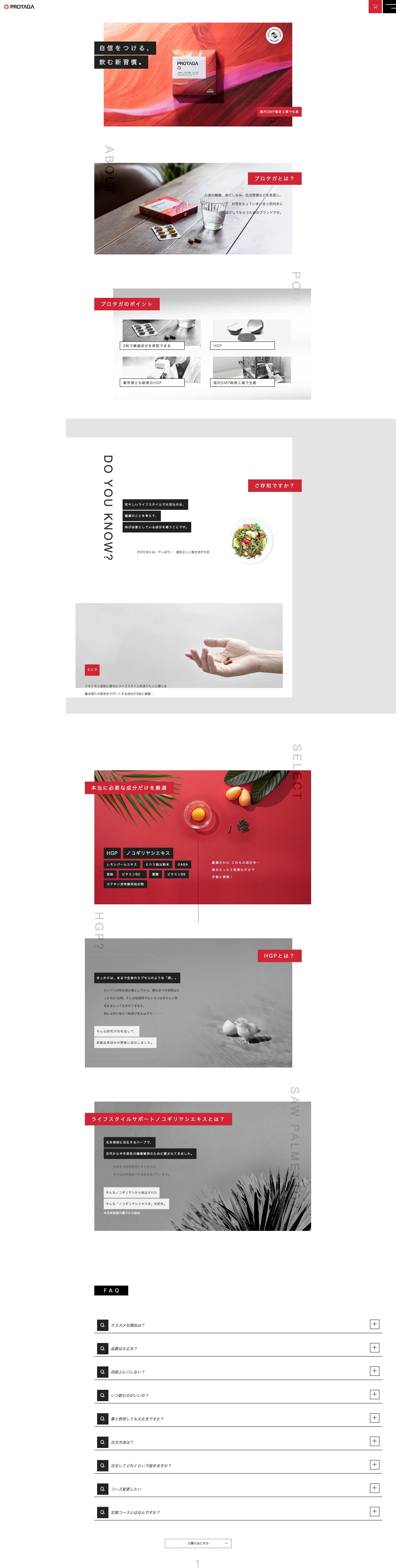 PROTAGAのスクリーンショット（PC）